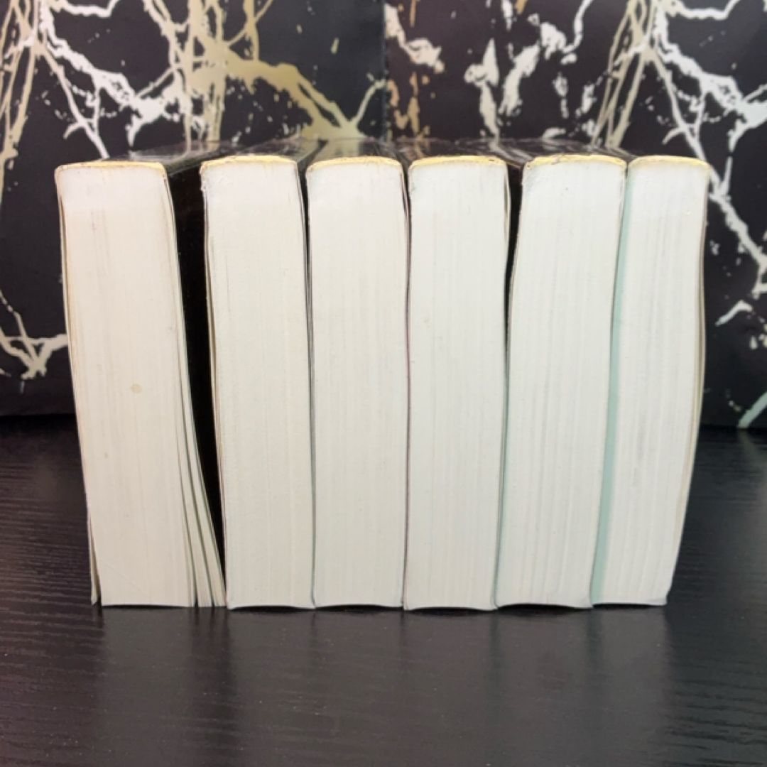 The Palliser Novels exact copy — photo 4