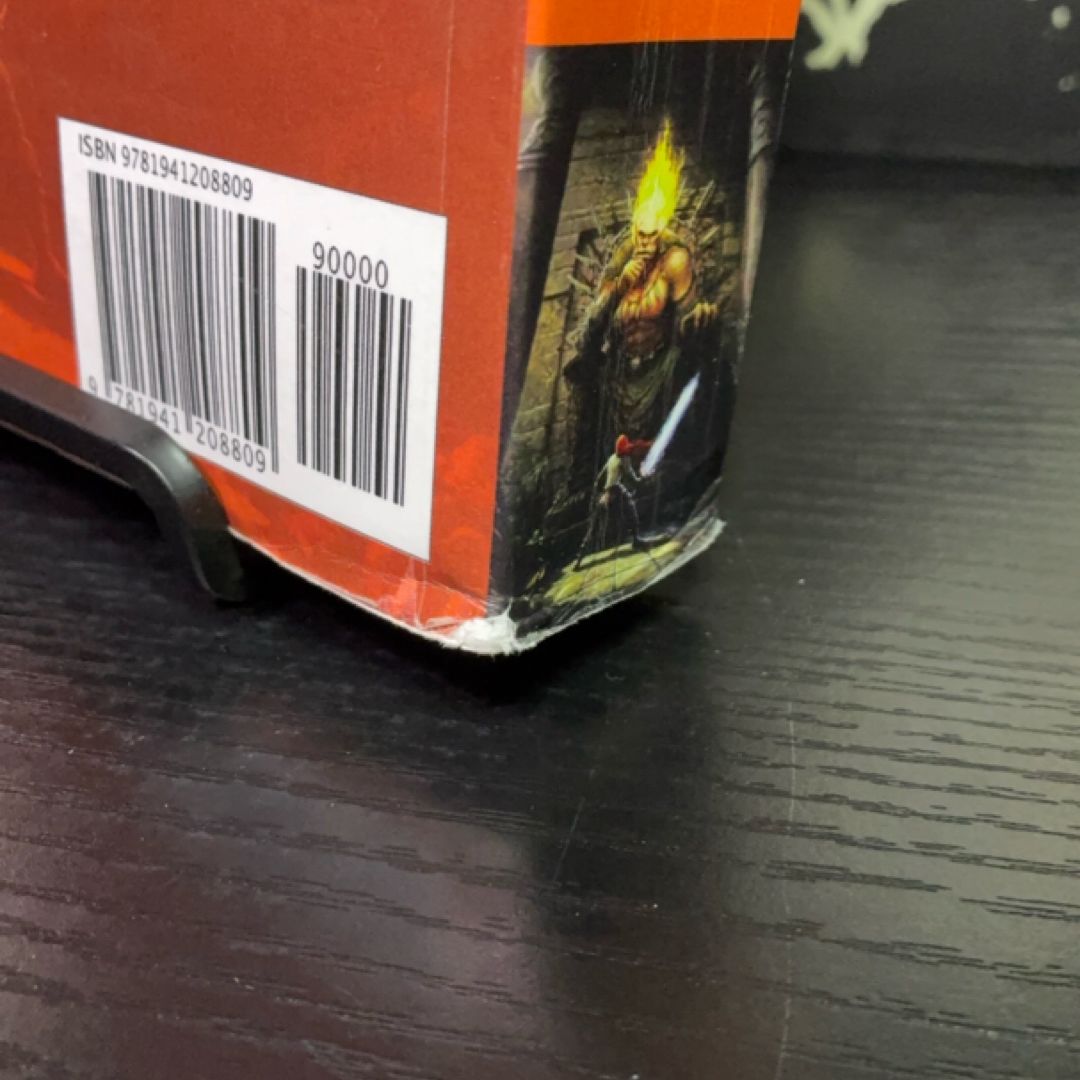 The Chronicles of Dragon exact copy — photo 3