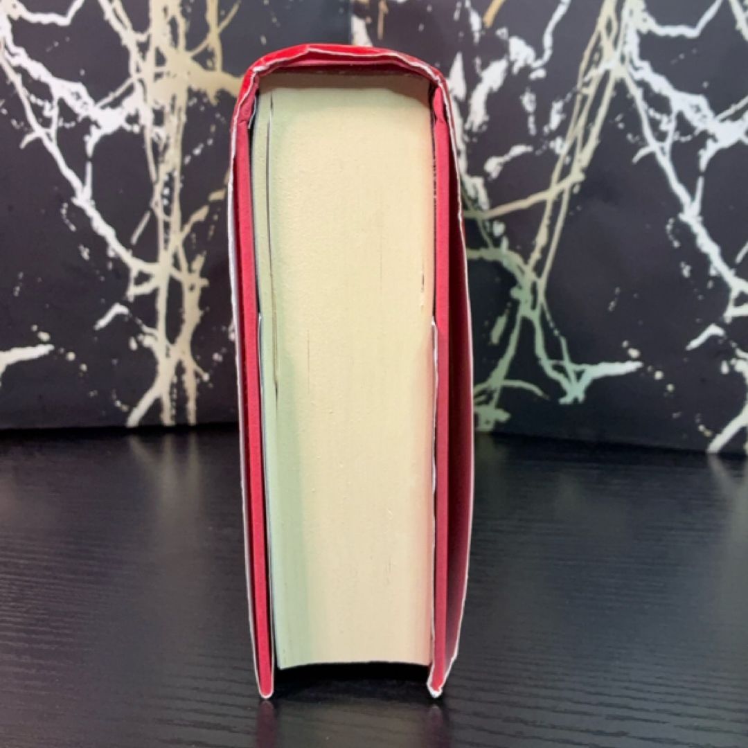 Allegiant exact copy — photo 5
