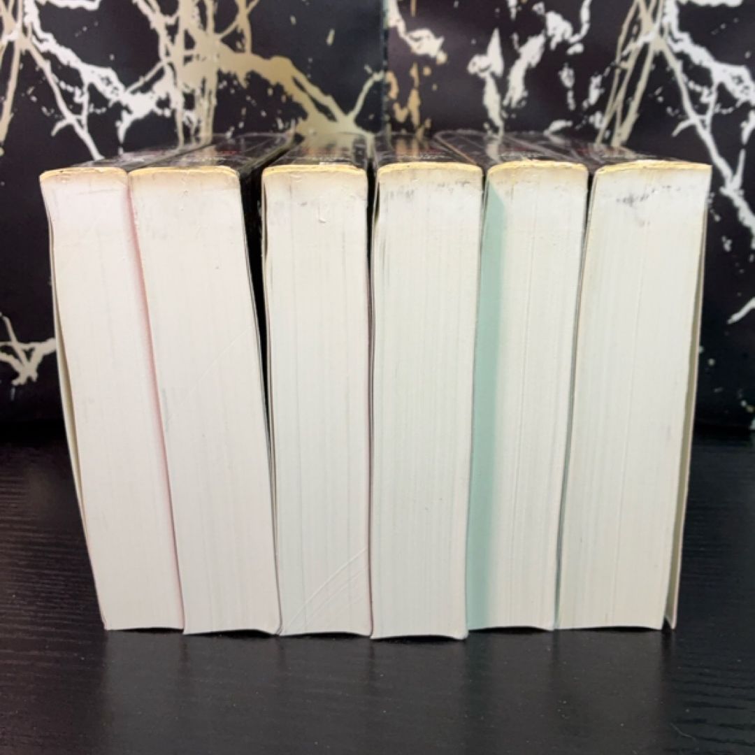 The Palliser Novels exact copy — photo 3
