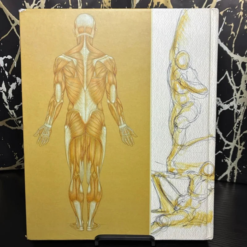 Classic Human Anatomy
