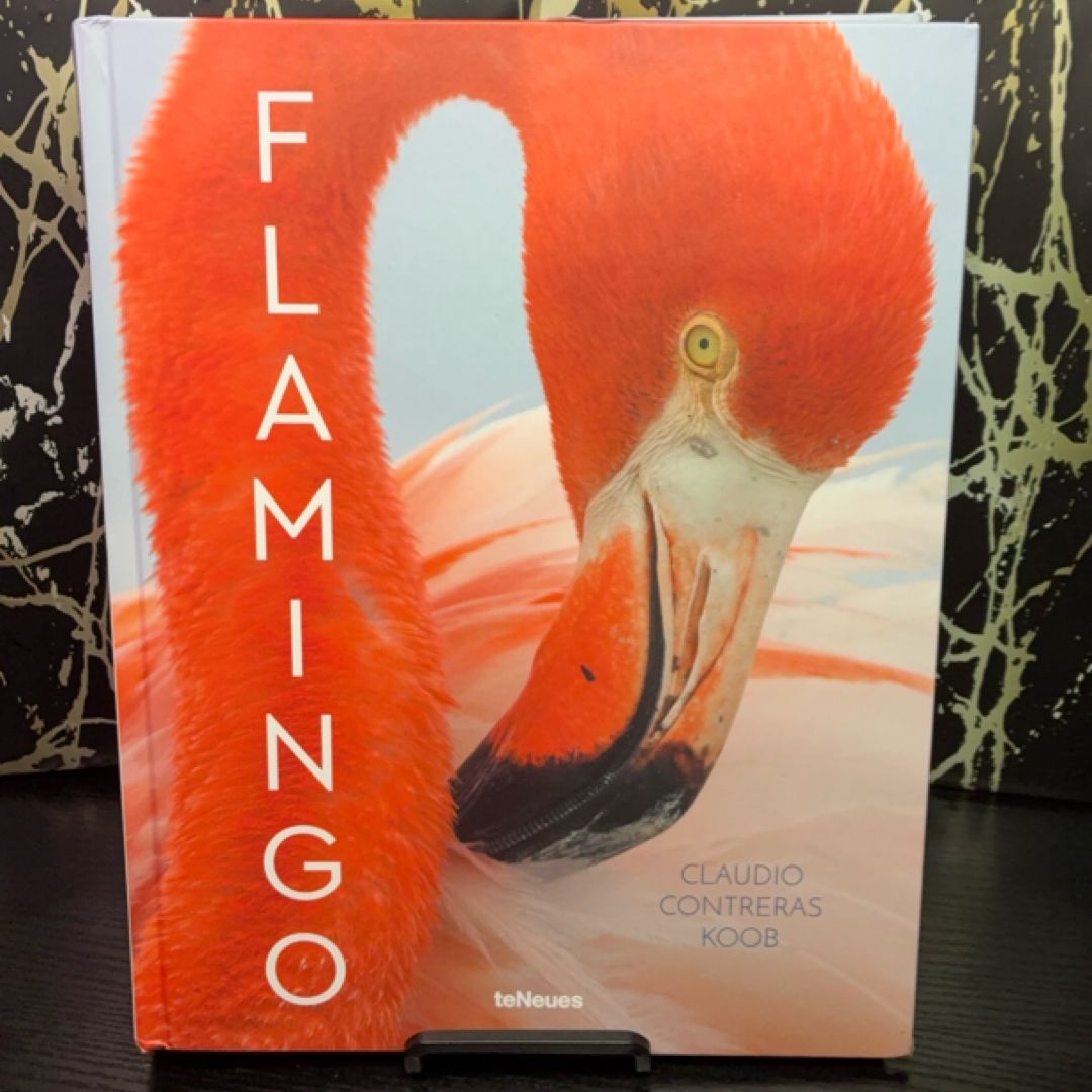 Flamingo exact copy — photo 1