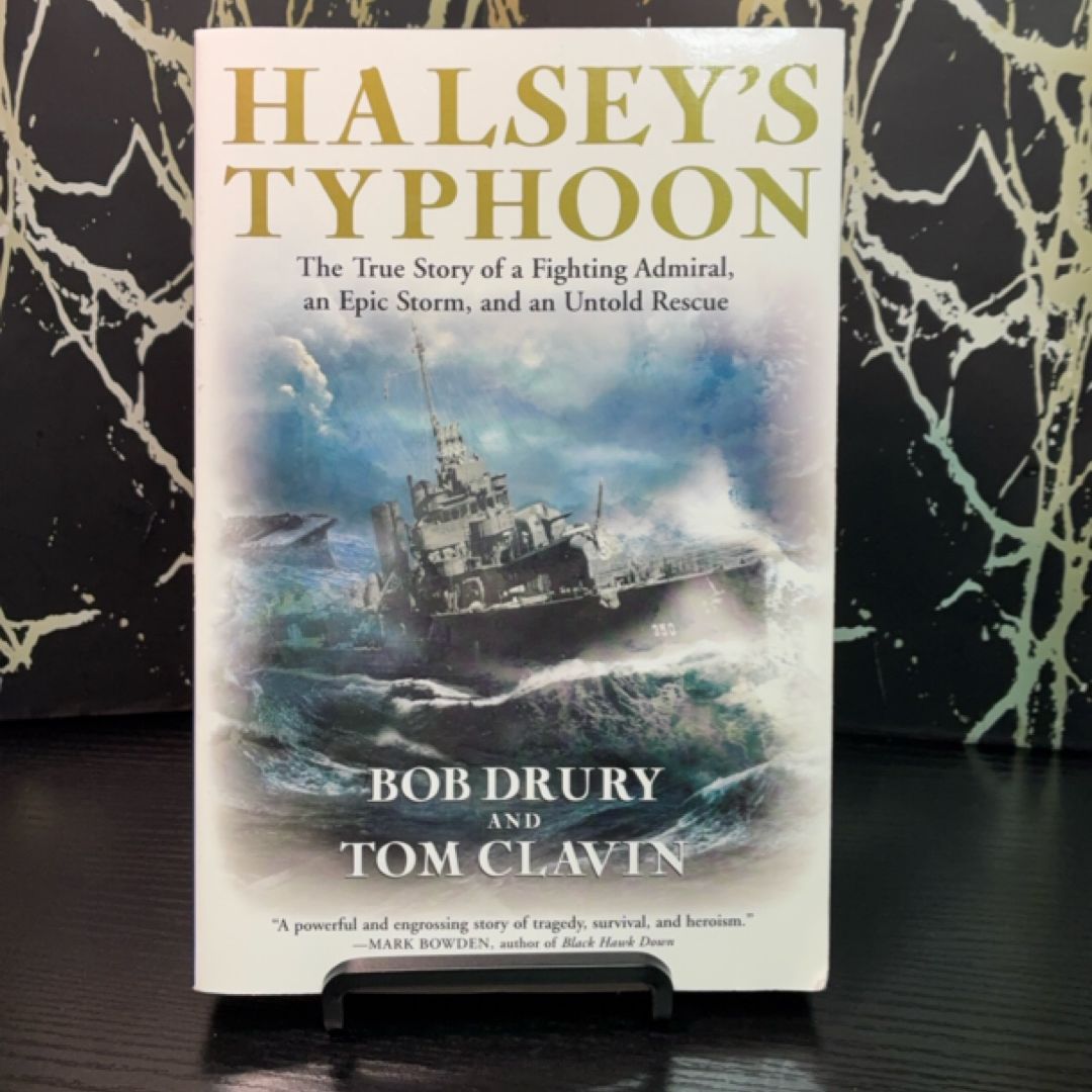 Halsey's Typhoon exact copy — photo 1