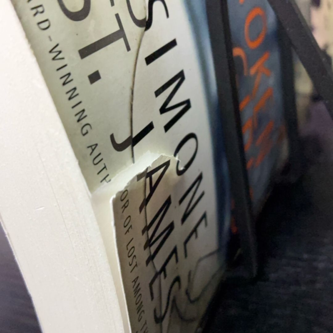 The Broken Girls exact copy — photo 7