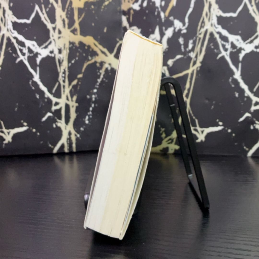 My Brilliant Friend exact copy — photo 6
