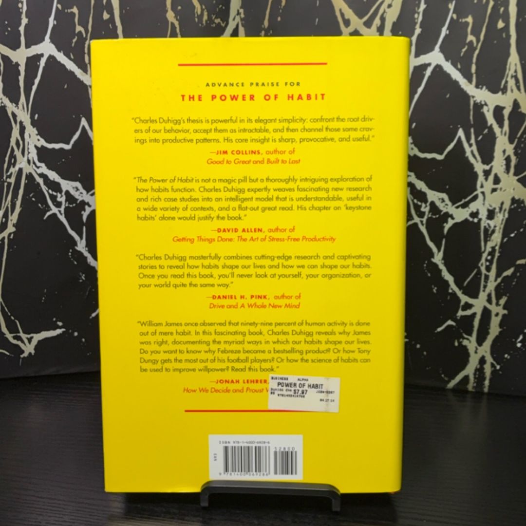 The Power of Habit exact copy — photo 3