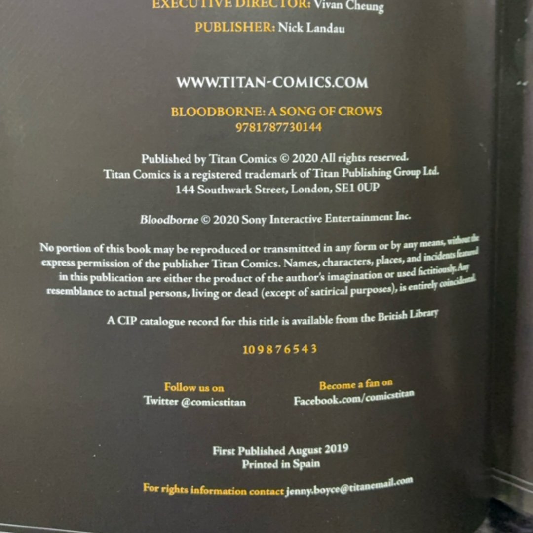 Bloodborne Vol. 3: A Song of Crows exact copy — photo 7