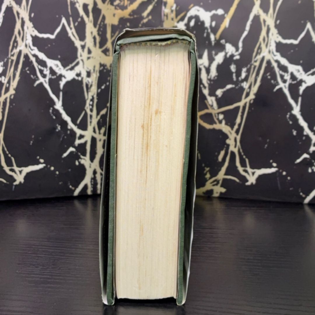 The New History of Florida exact copy — photo 5