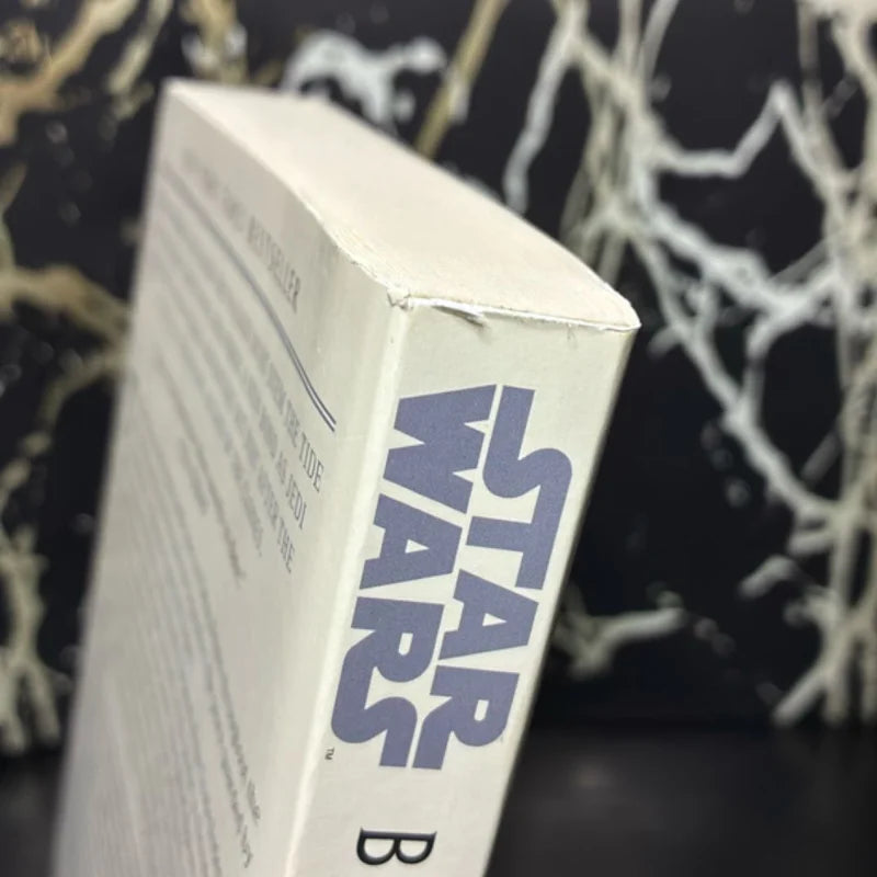 Star Wars: Brotherhood