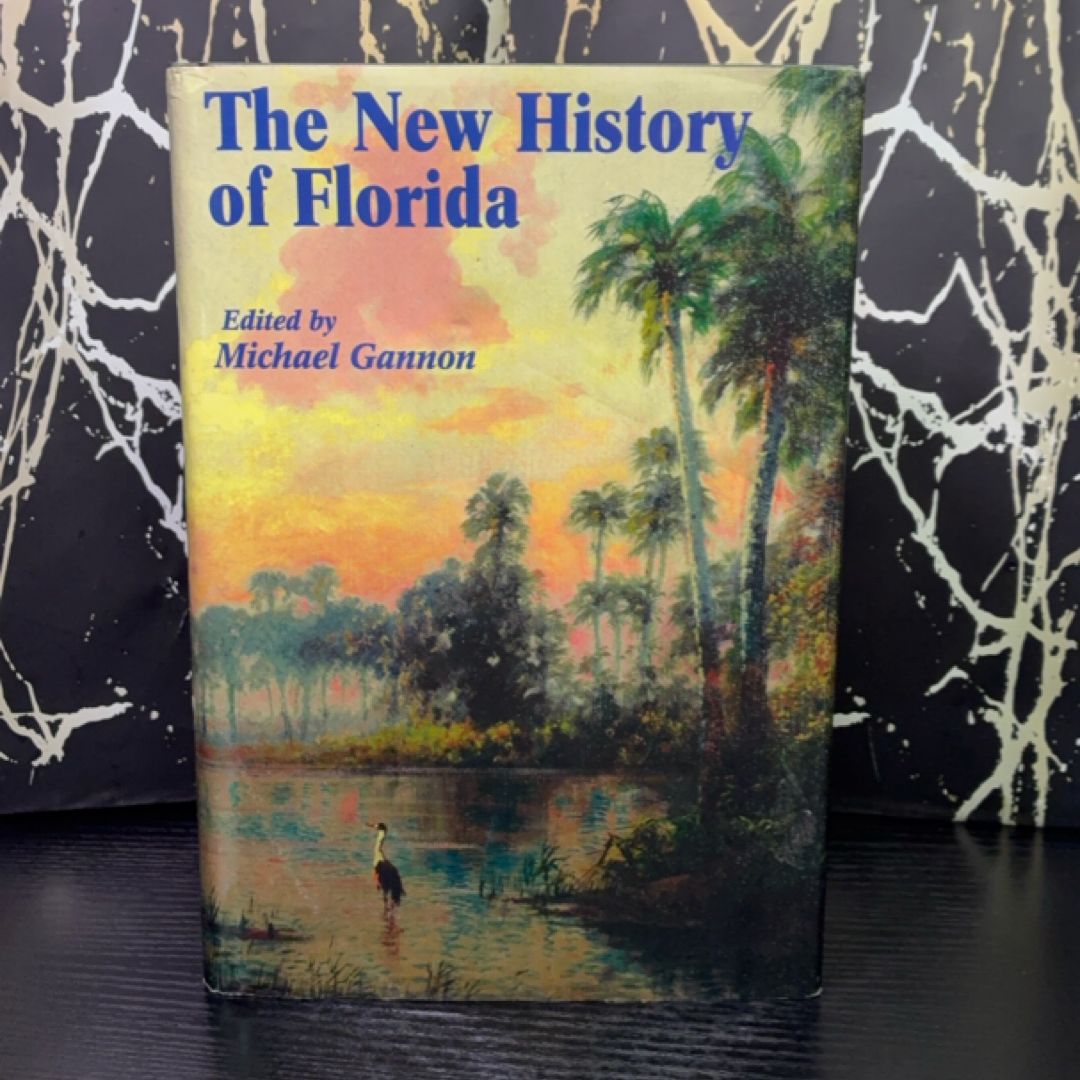 The New History of Florida exact copy — photo 1