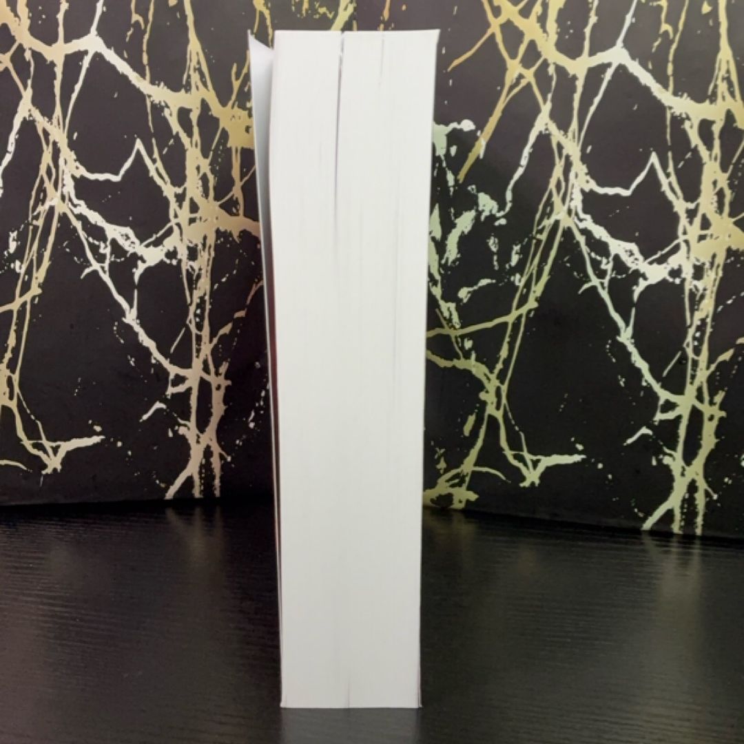 The Land: Raiders exact copy — photo 4