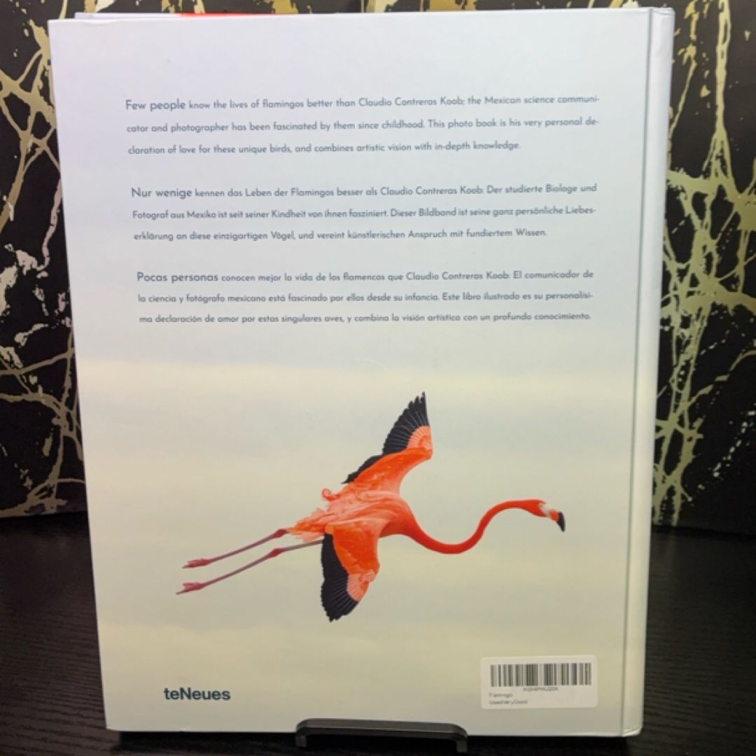 Flamingo exact copy — photo 4