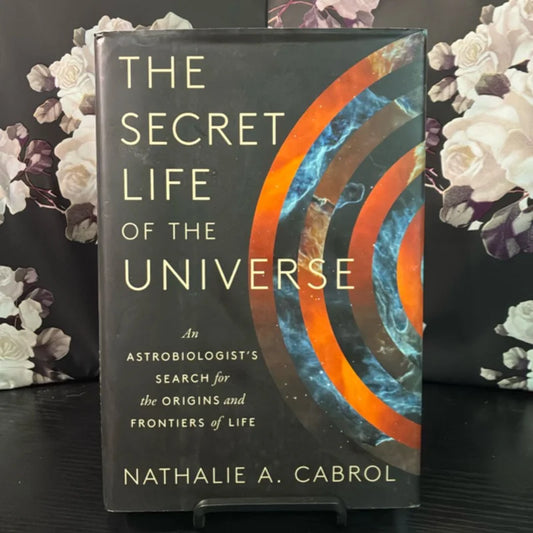 The Secret Life of the Universe