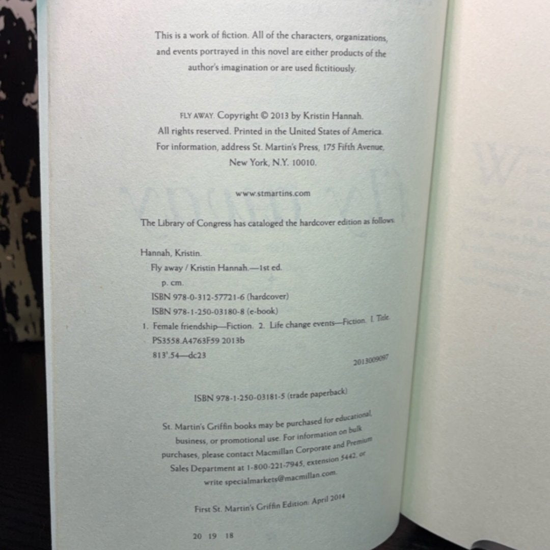 Fly Away exact copy — photo 7