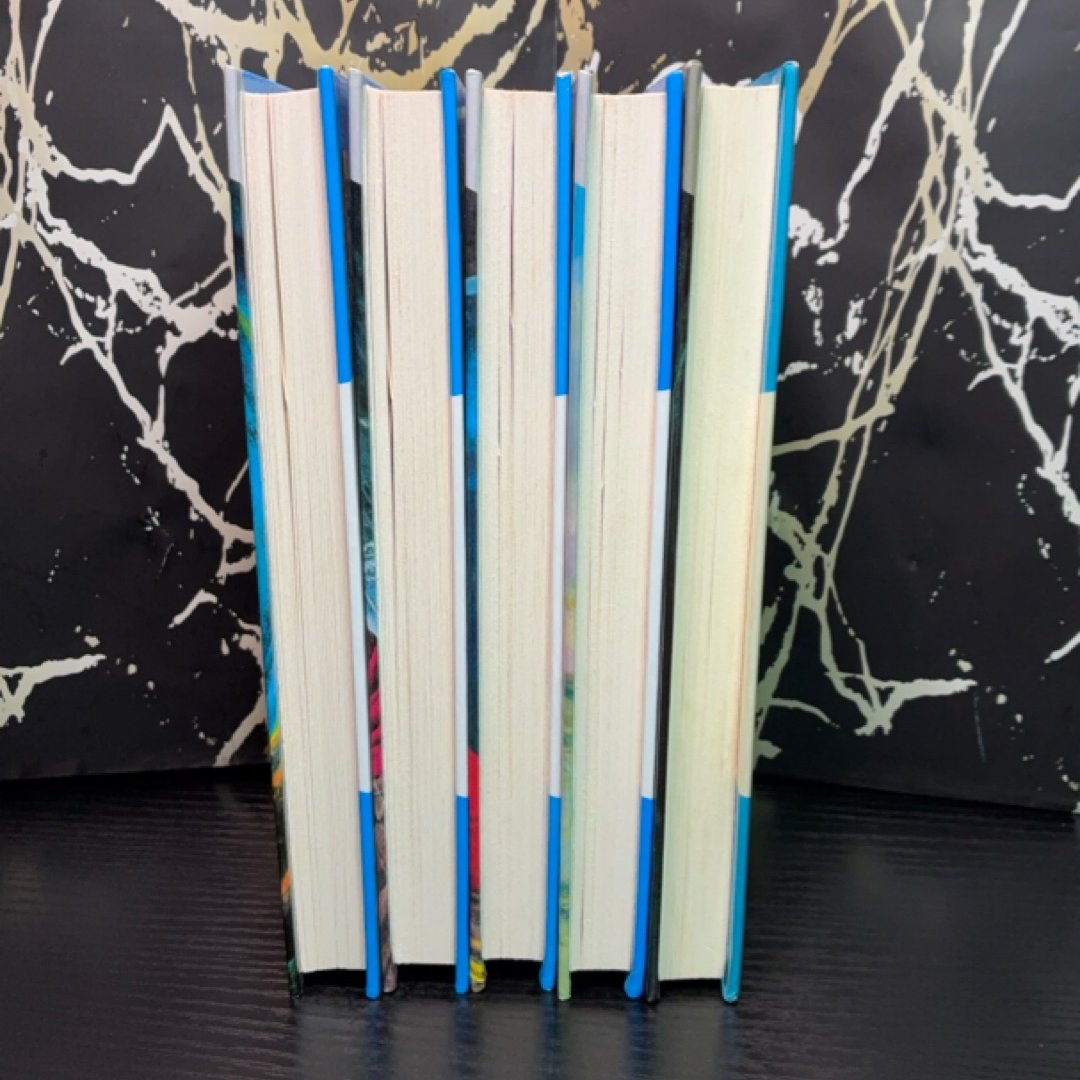 The Hardy Boys Starter Set exact copy — photo 2