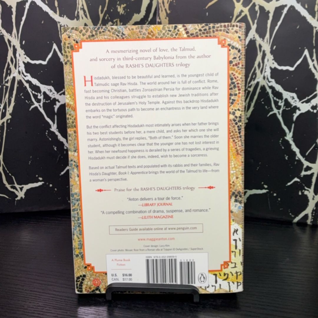 Rav Hisda's Daughter, Book I: Apprentice exact copy — photo 3