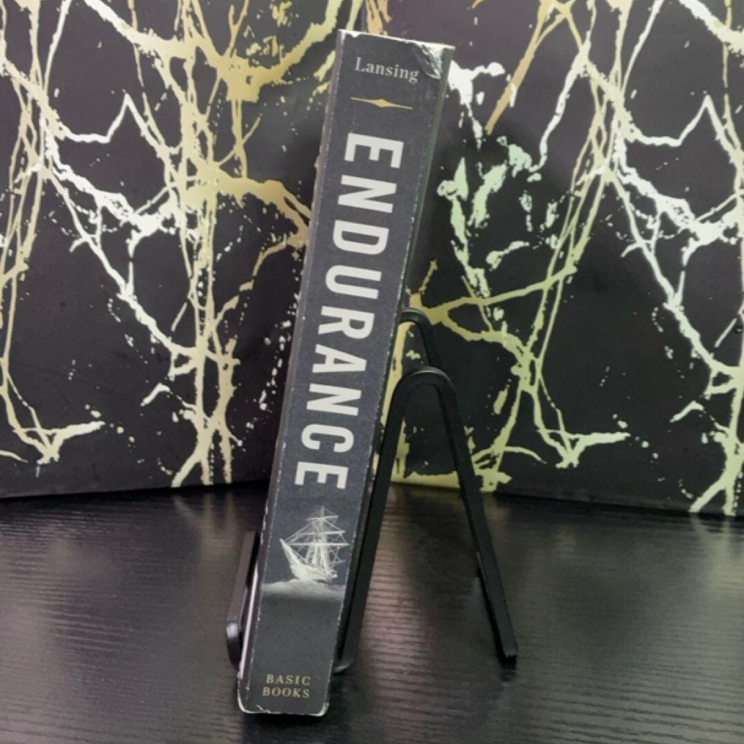 Endurance exact copy — photo 2