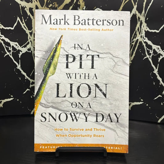 In a Pit with a Lion on a Snowy Day