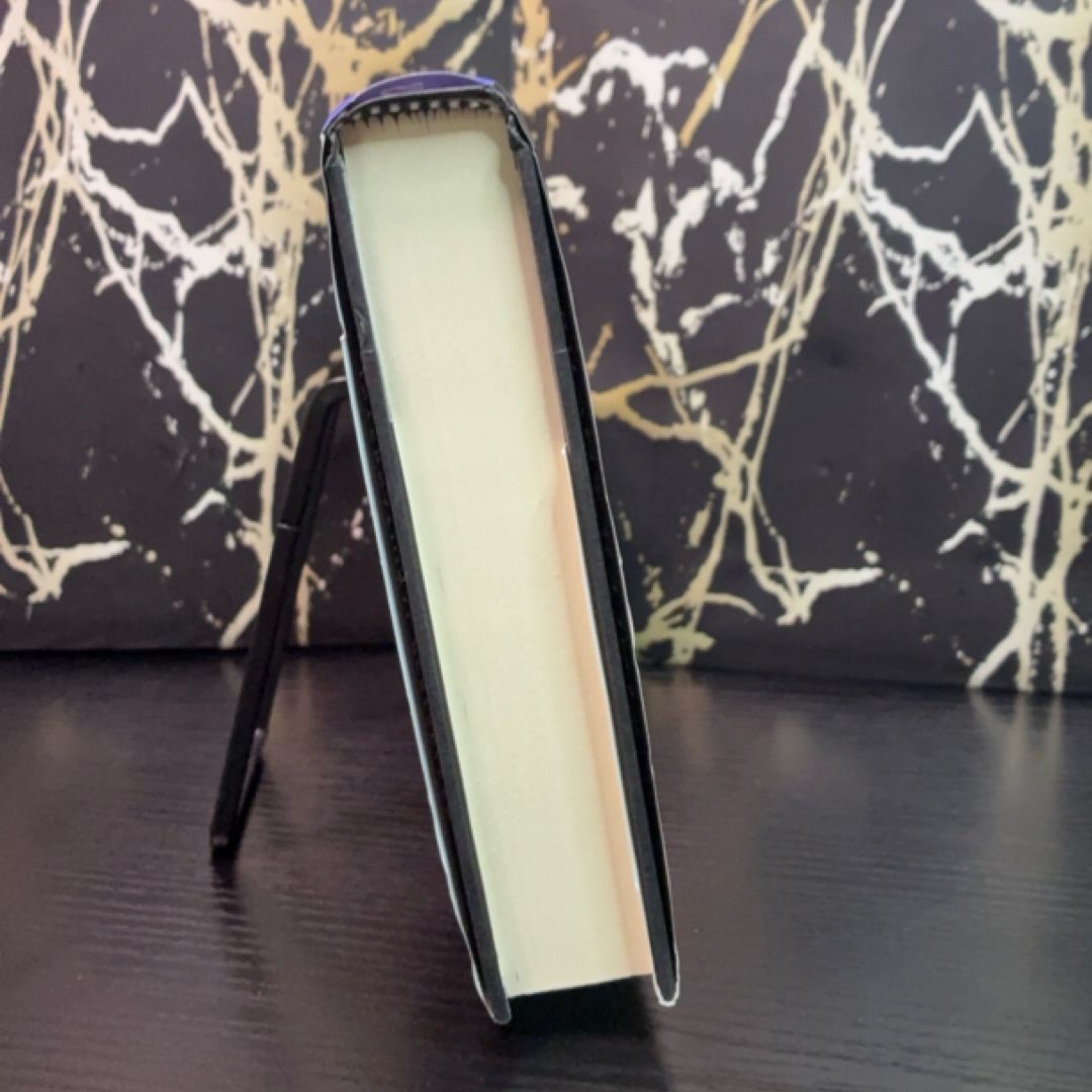 Stolen Focus: Why You Can't Pay Attention—and How to Think Deeply Again exact copy — photo 5