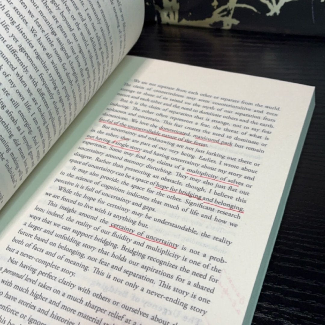 The Power of Bridging exact copy — photo 8