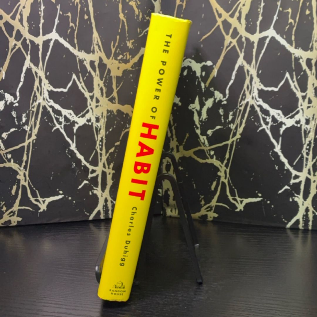 The Power of Habit exact copy — photo 2