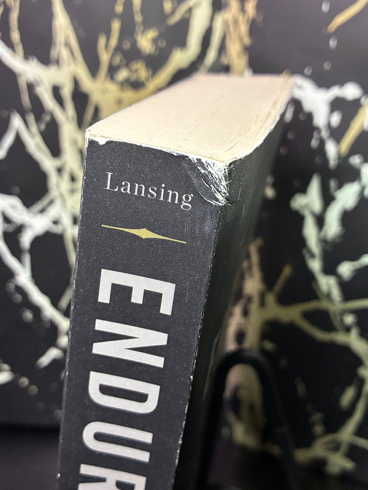 Endurance: Shackleton’s Incredible Voyage