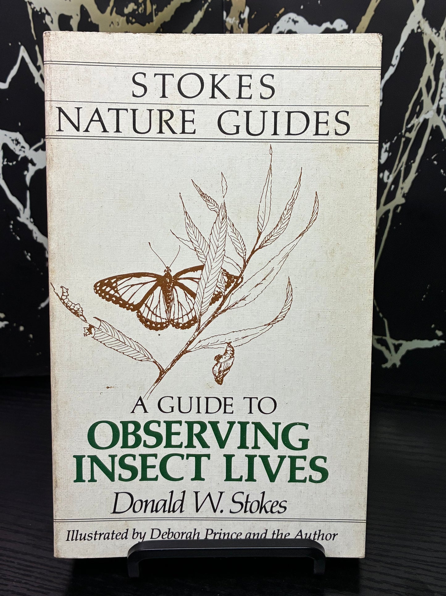 A Guide to Observing Insect Lives
