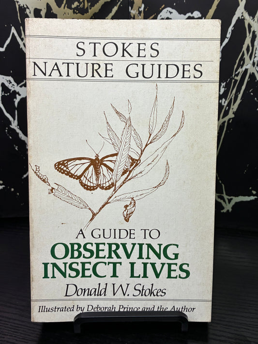 A Guide to Observing Insect Lives