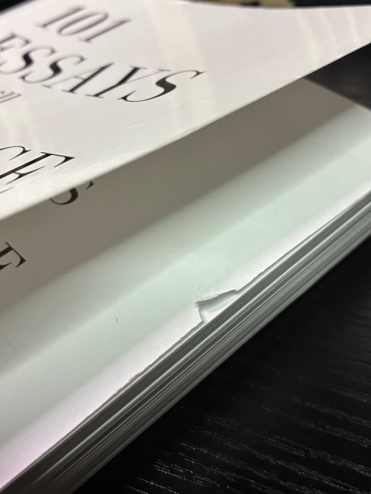 101 Essays That Will Change the Way You Think