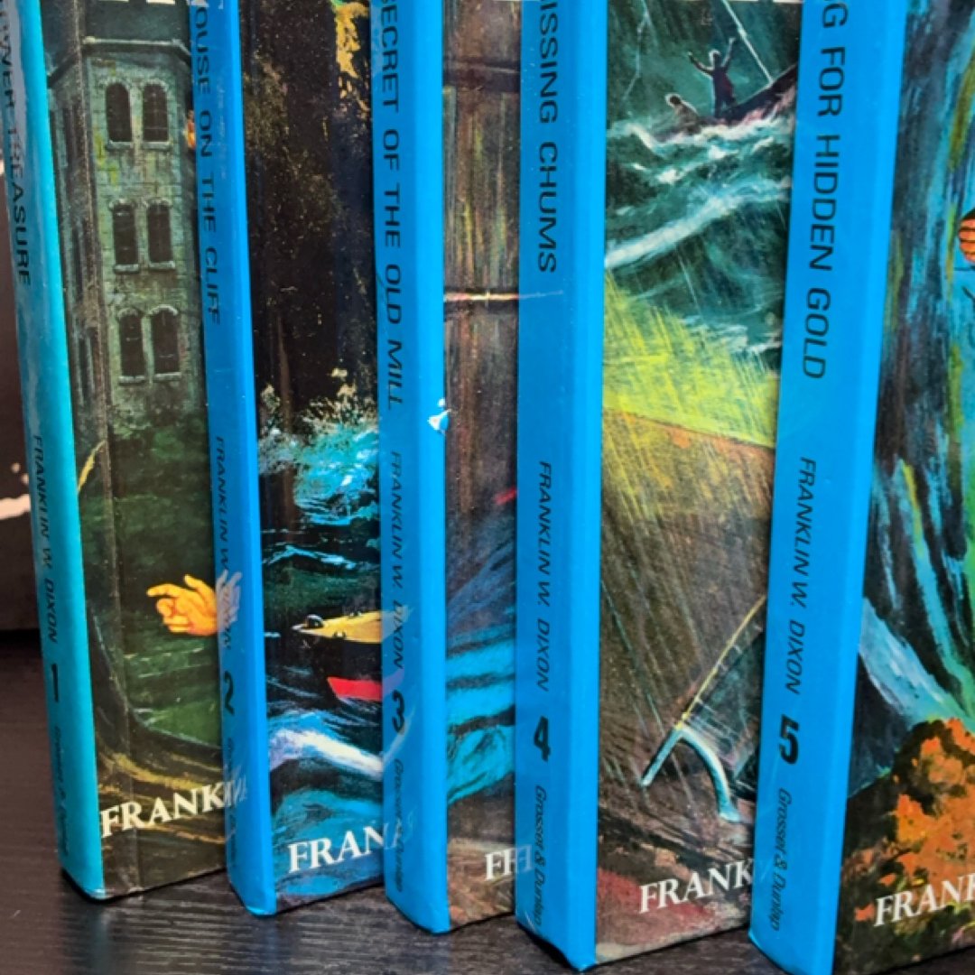 The Hardy Boys Starter Set exact copy — photo 5