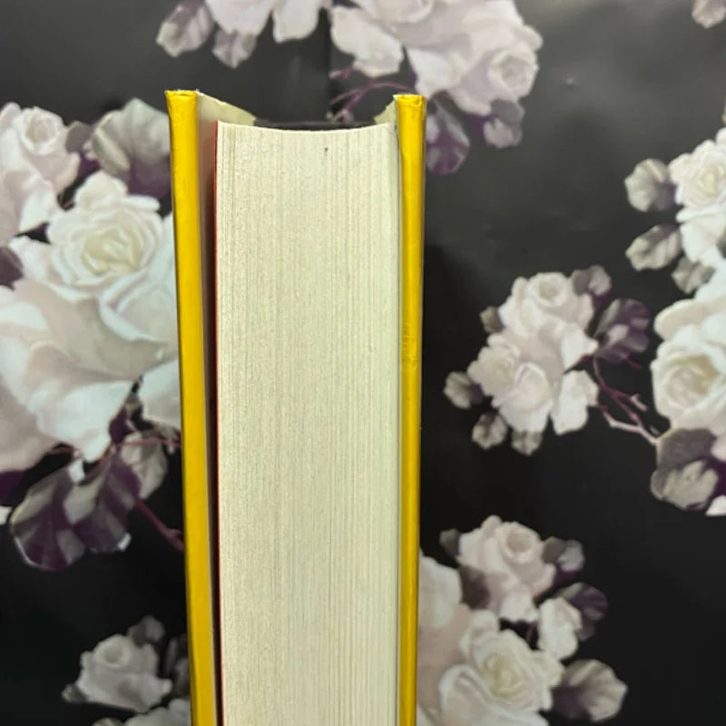 The Casual Vacancy