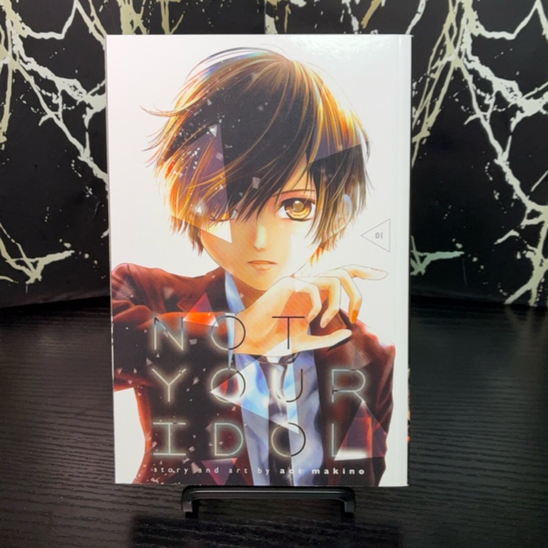 Not Your Idol, Vol. 1 by Aoi Makino — photo 1