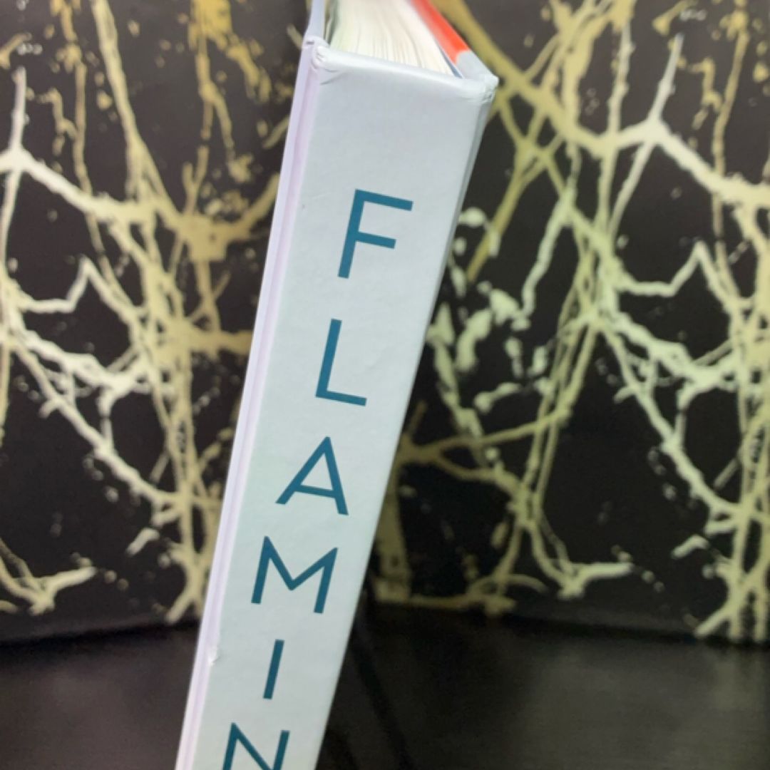 Flamingo exact copy — photo 2