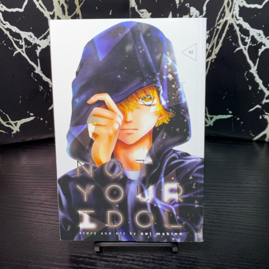 Not Your Idol, Vol. 2 by Aoi Makino — photo 1