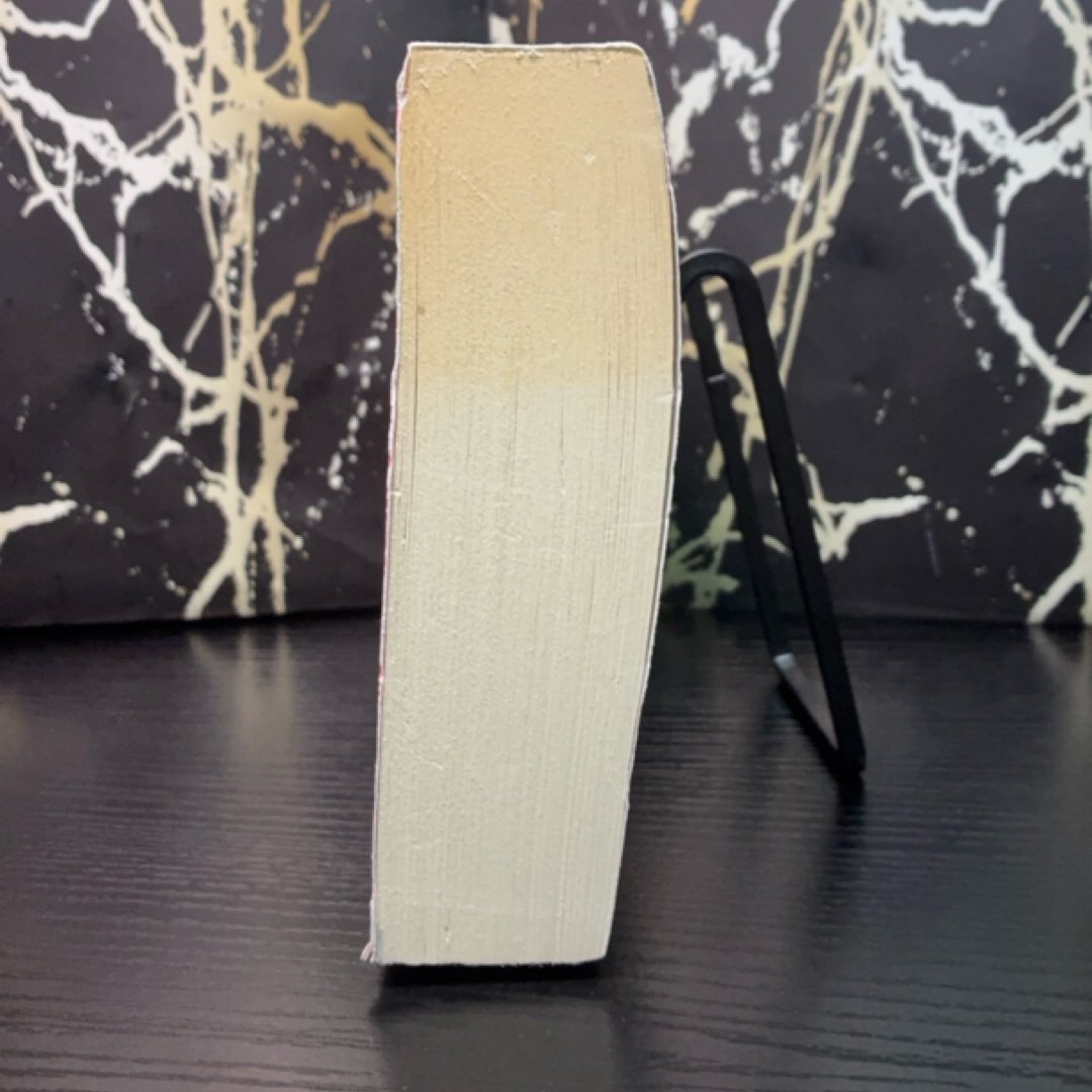 The Rook exact copy — photo 6