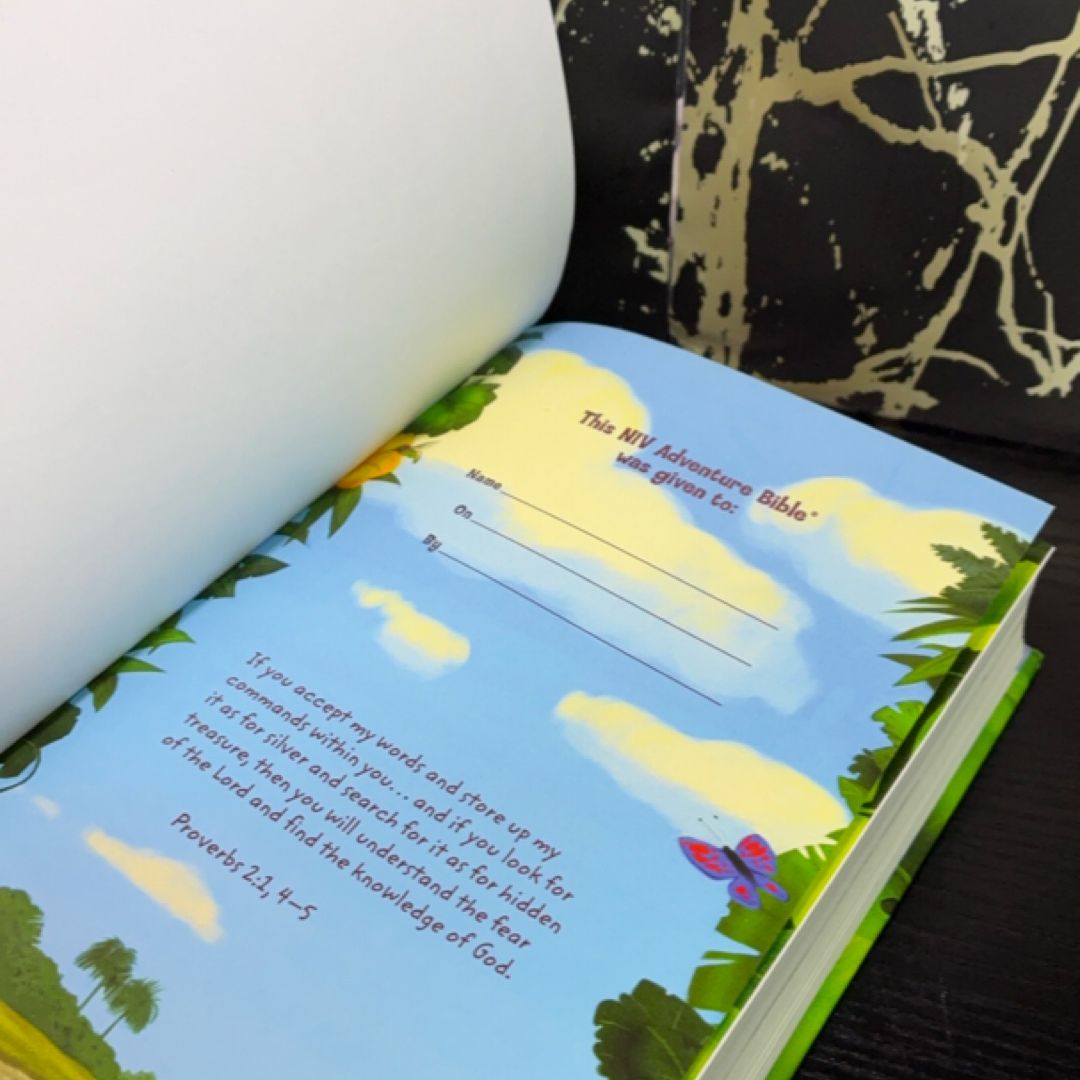 NIV Adventure Bible exact copy — photo 7