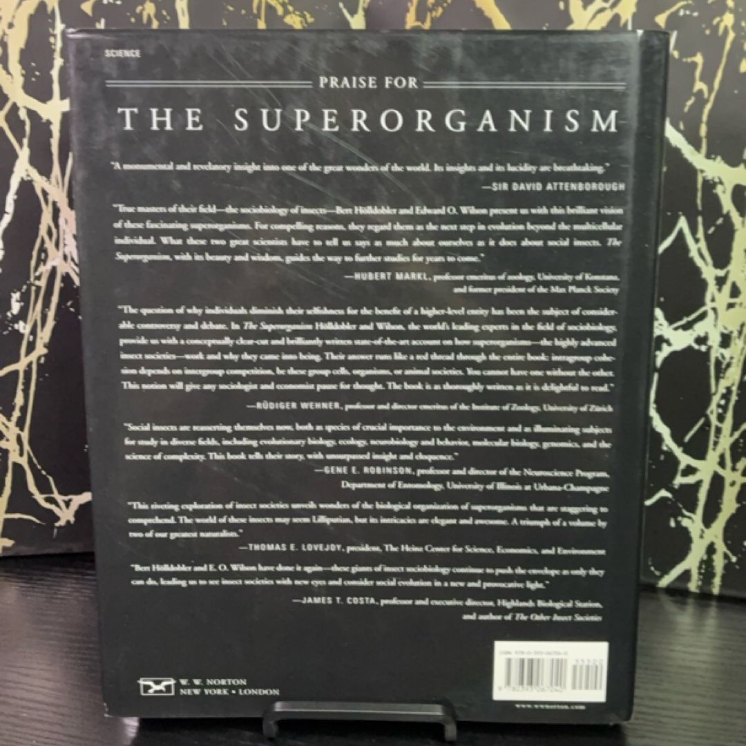 The Superorganism exact copy — photo 3