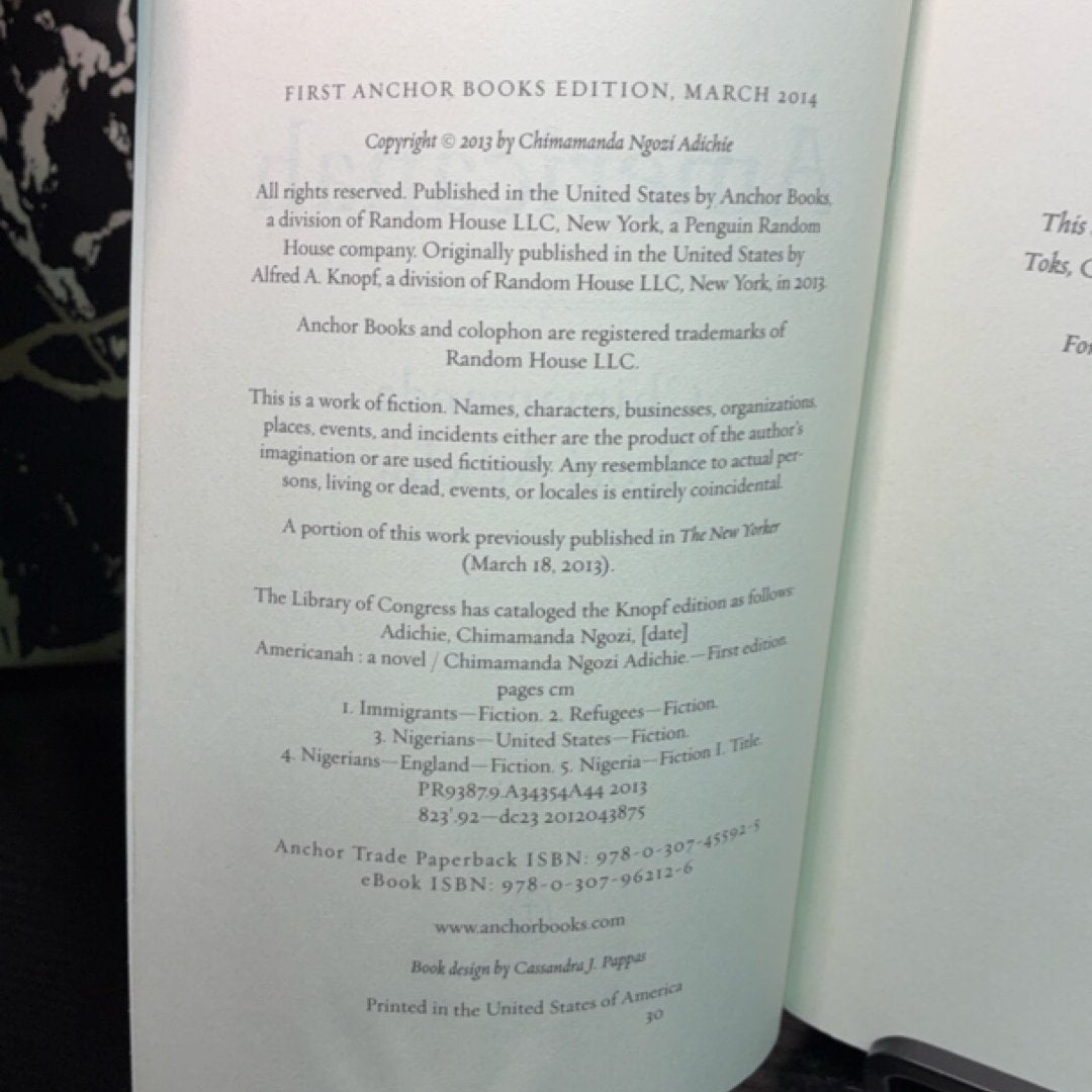 Americanah exact copy — photo 7