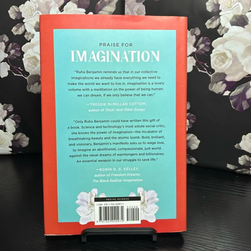 Imagination