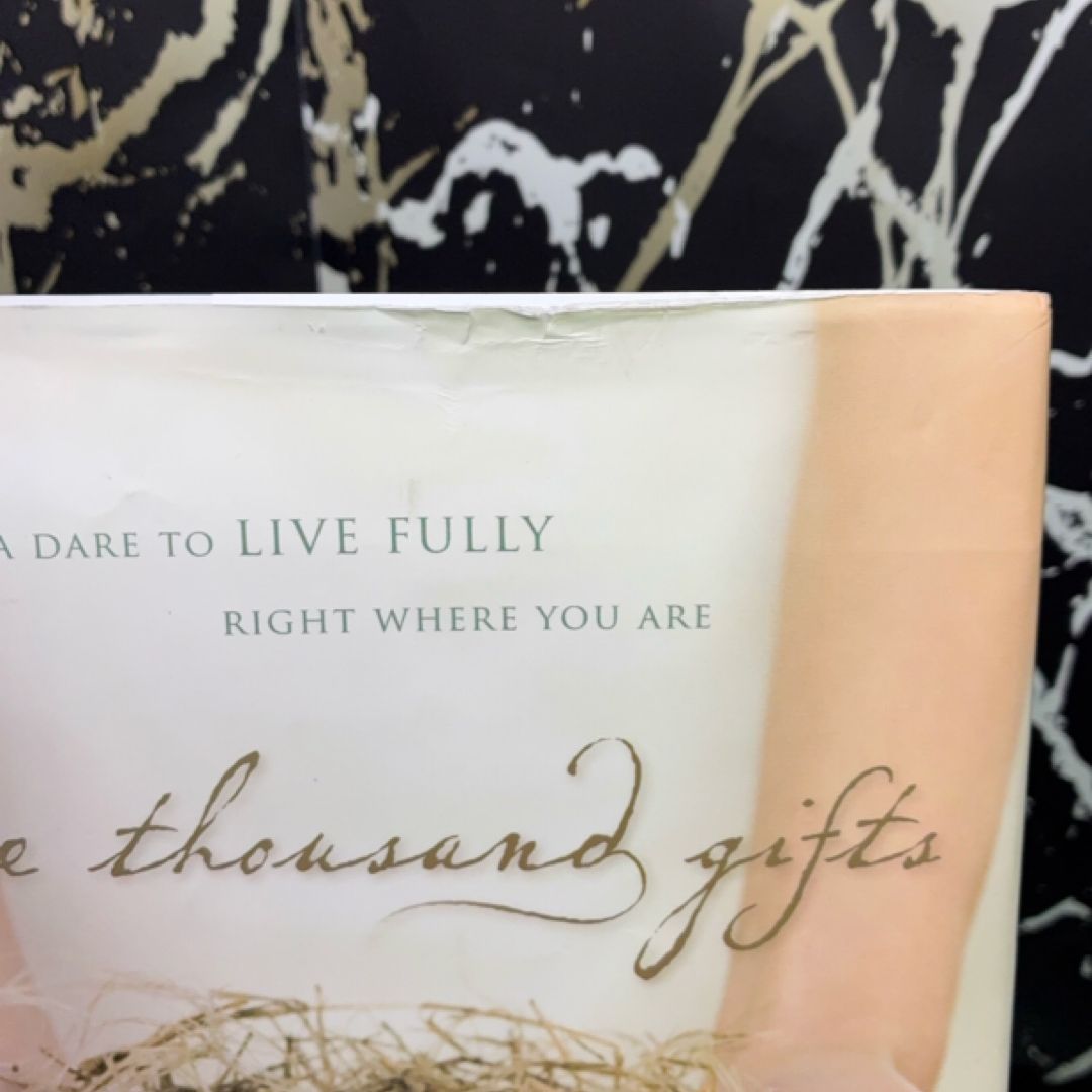One Thousand Gifts exact copy — photo 7