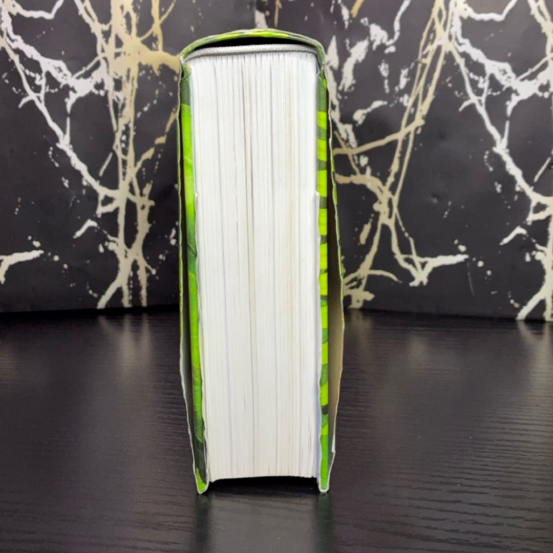 NIV Adventure Bible exact copy — photo 5