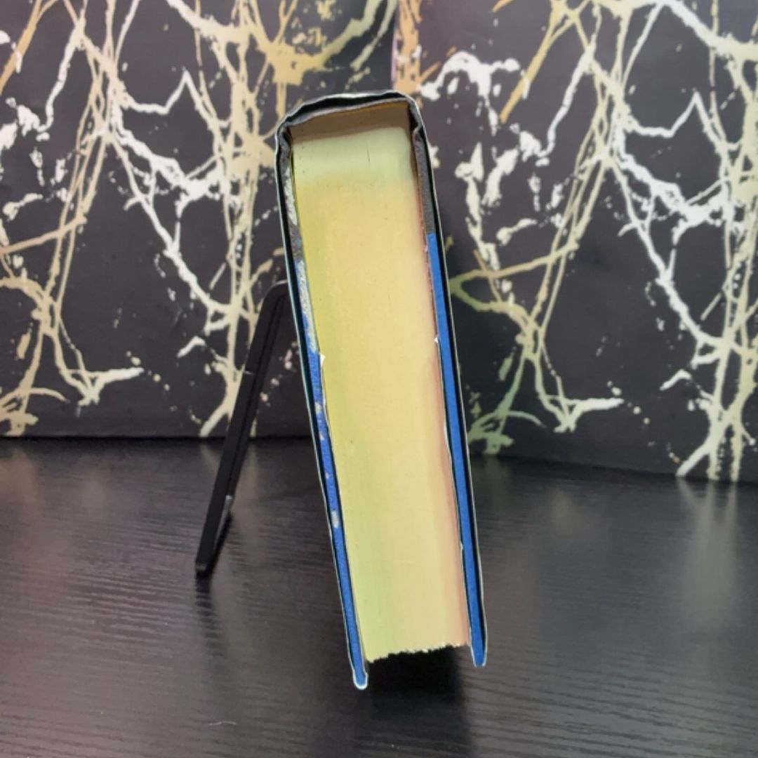 The Good Daughter exact copy — photo 5