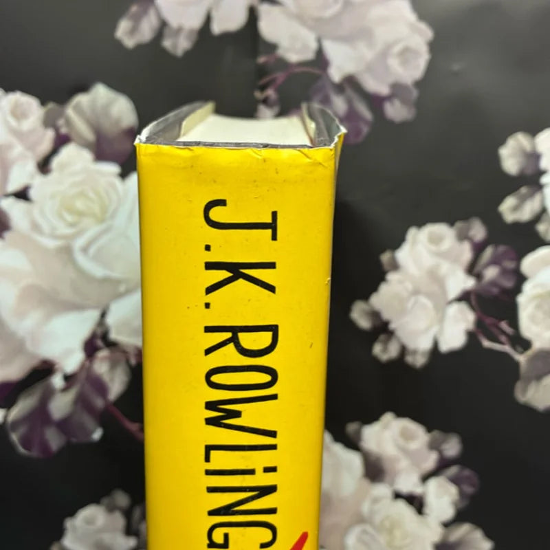 The Casual Vacancy