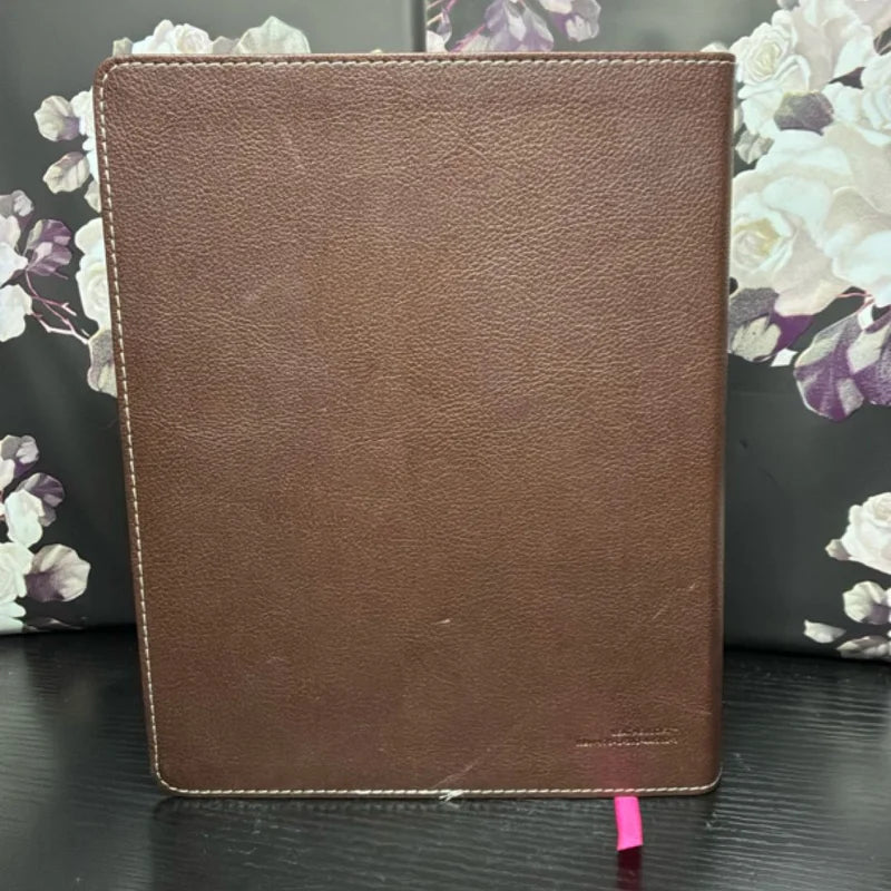 Journal the Word Bible, Large Print, Imitation Leather, Pink/Brown