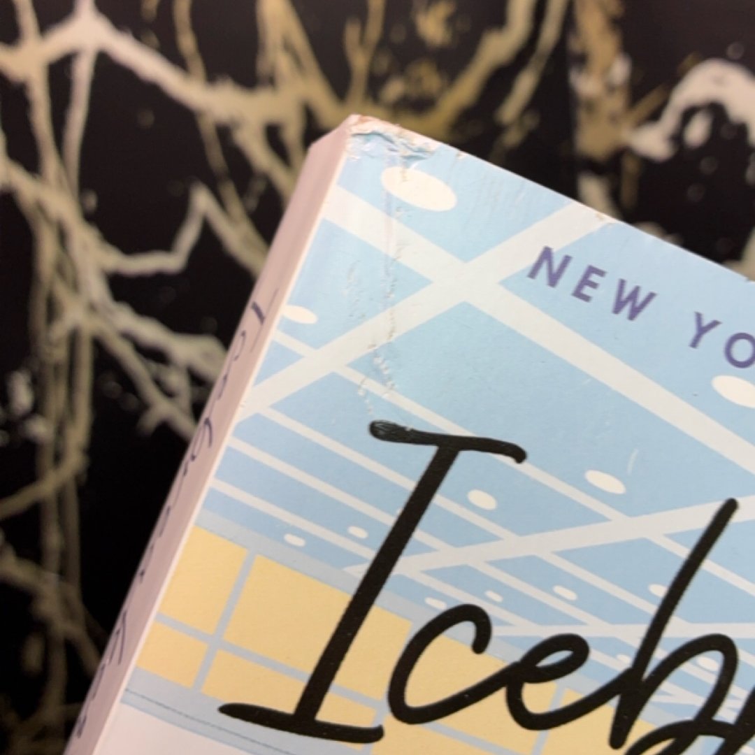 Icebreaker exact copy — photo 7