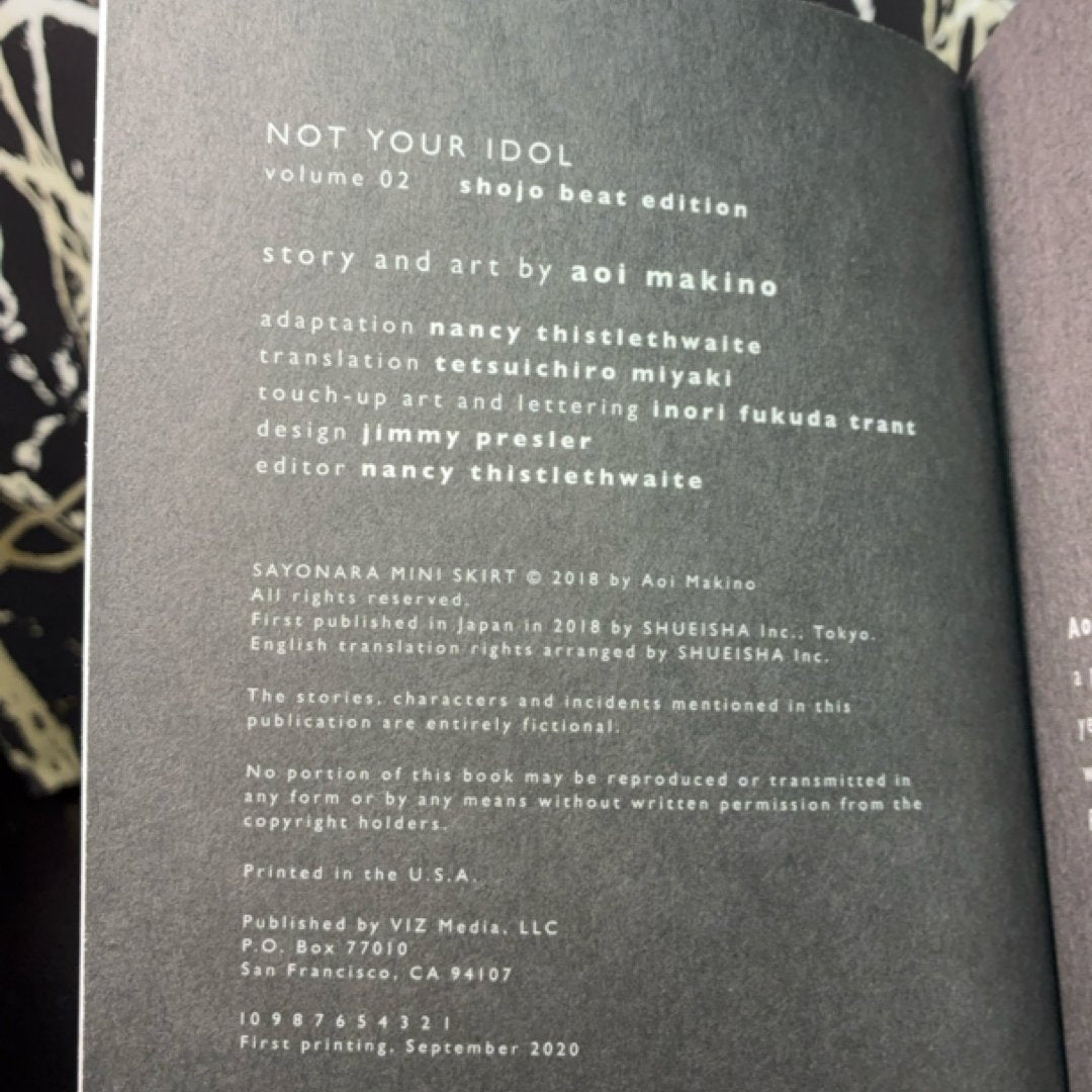 Not Your Idol, Vol. 2 by Aoi Makino — photo 7
