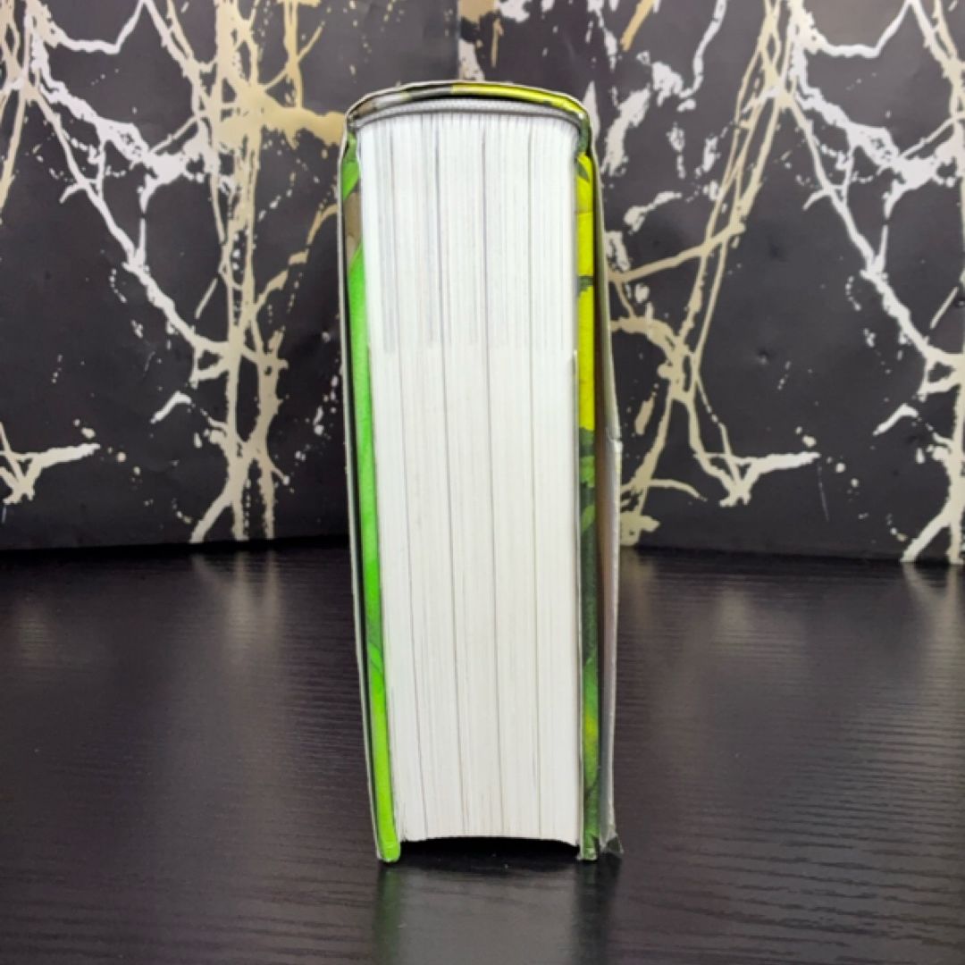 NIV Adventure Bible exact copy — photo 6