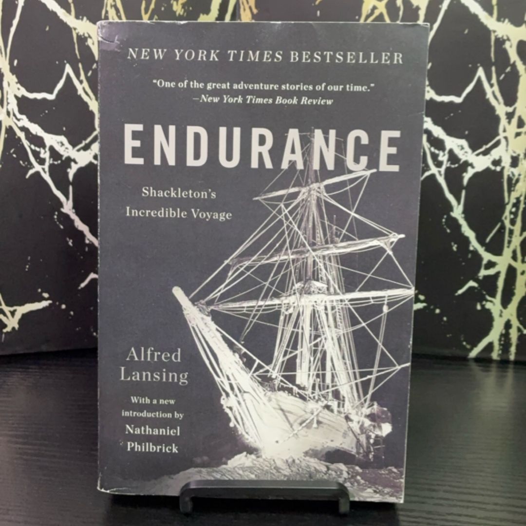 Endurance exact copy — photo 1