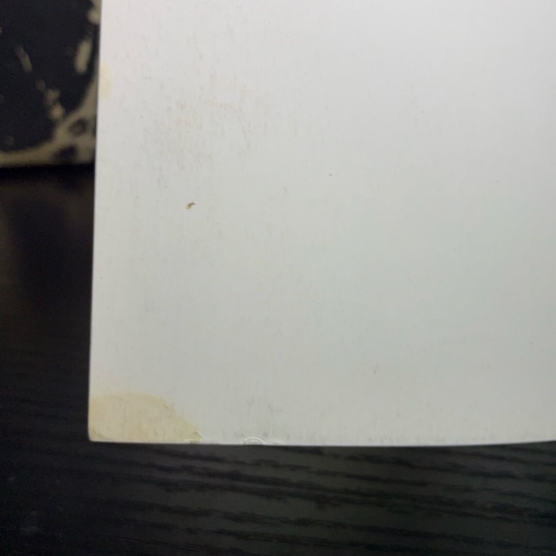Harley Quinn Vol. 1: Hot in the City exact copy — photo 8
