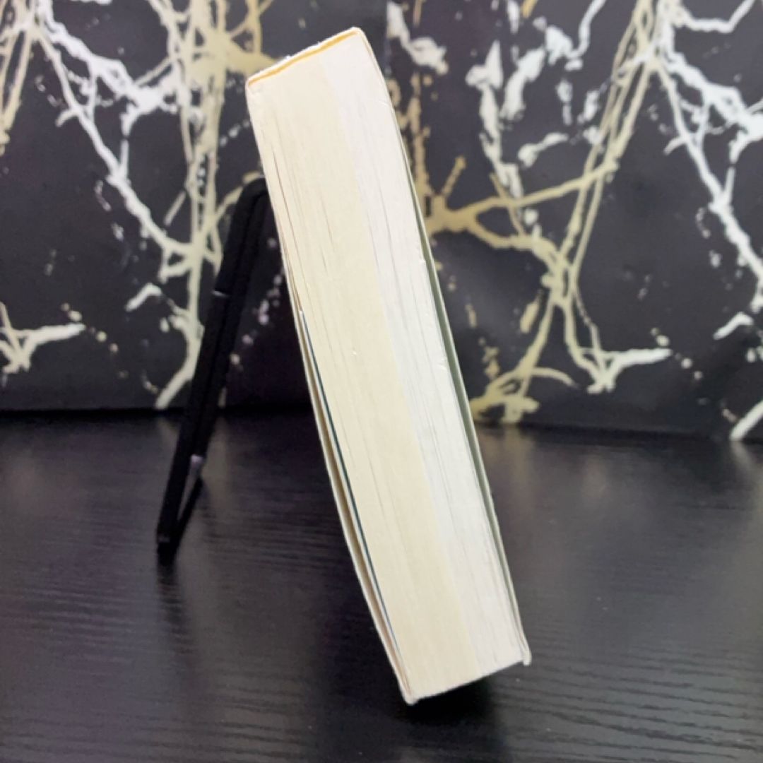 My Brilliant Friend exact copy — photo 5